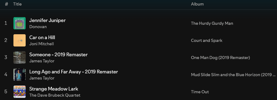 screenshot of spotify playlist